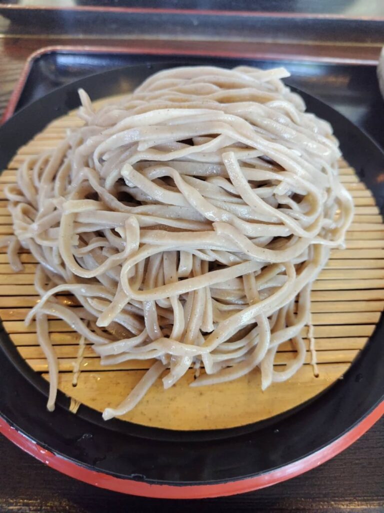 西那須野駅近く「かどや」の蕎麦は粗びきの田舎そば
