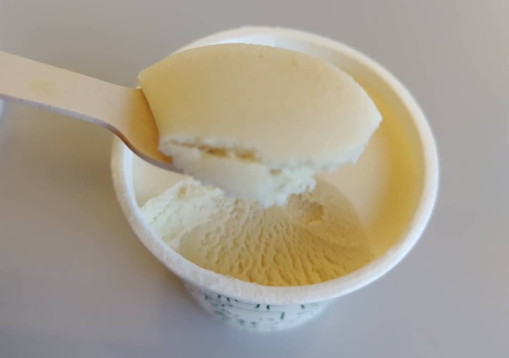 那須塩原市立図書館「みるる」の中にあるカフェ「モリコーネ」で食べた「森林ノアイス」の写真