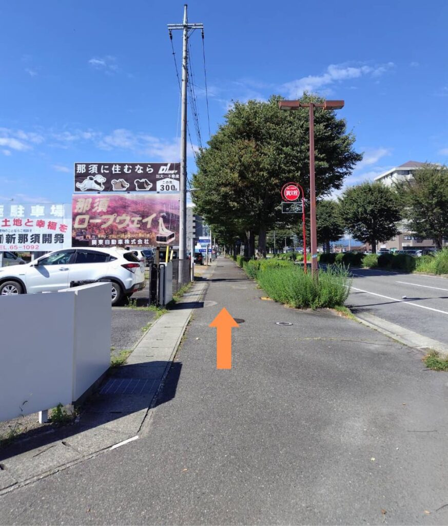 Keep walking straight on the sidewalk.