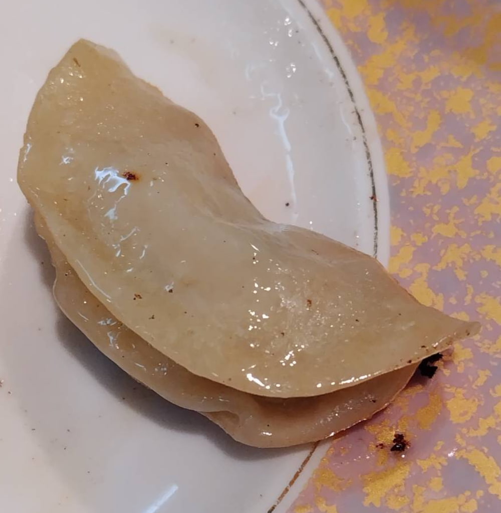 黒磯駅近くの中国料理「楼蘭」で注文した「餃子」はひだが無い。