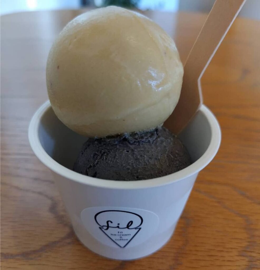 黒磯駅から徒歩10分の所にあるアイスクリーム屋「fil ice cream & coffee」で注文したダブルアイスクリーム(さつまいも&黒ゴマ)の写真