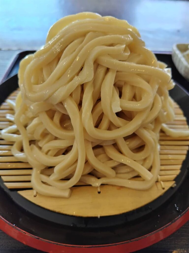 極太＆麺の断面が四角形をしているうどんの写真