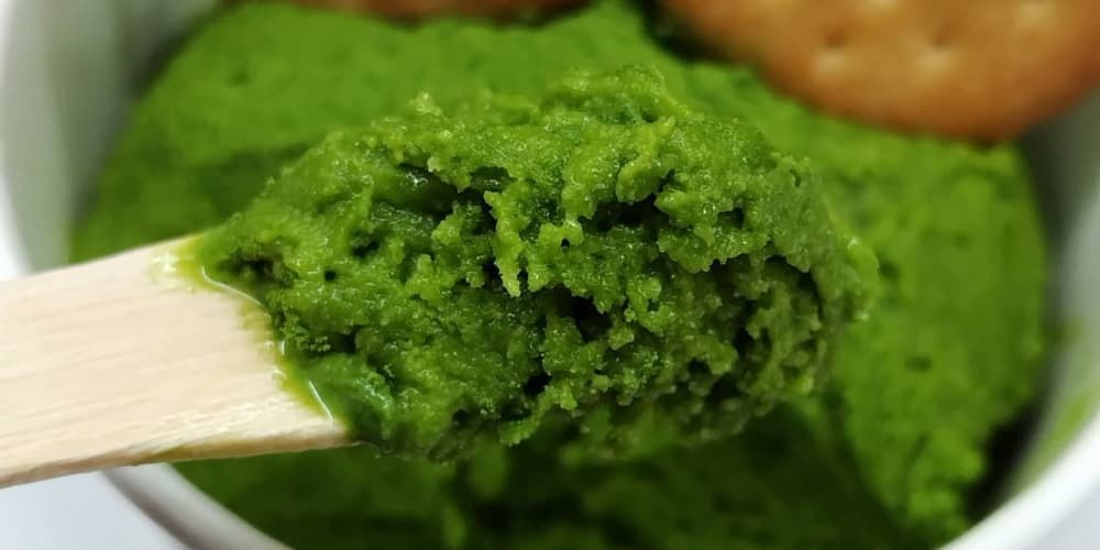 抹茶アイス(抹茶ジェラート)のアップ画